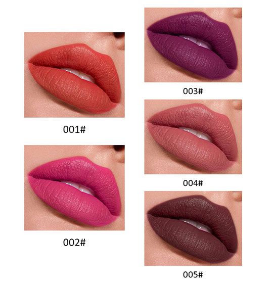 High Pigment Waterproof Multi-Colors Matte Lip Gloss